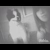 kodabear97